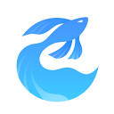 MiroFish
